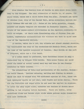 Load image into Gallery viewer, Pan-American World Airways System - Houston to Mexico 1949
